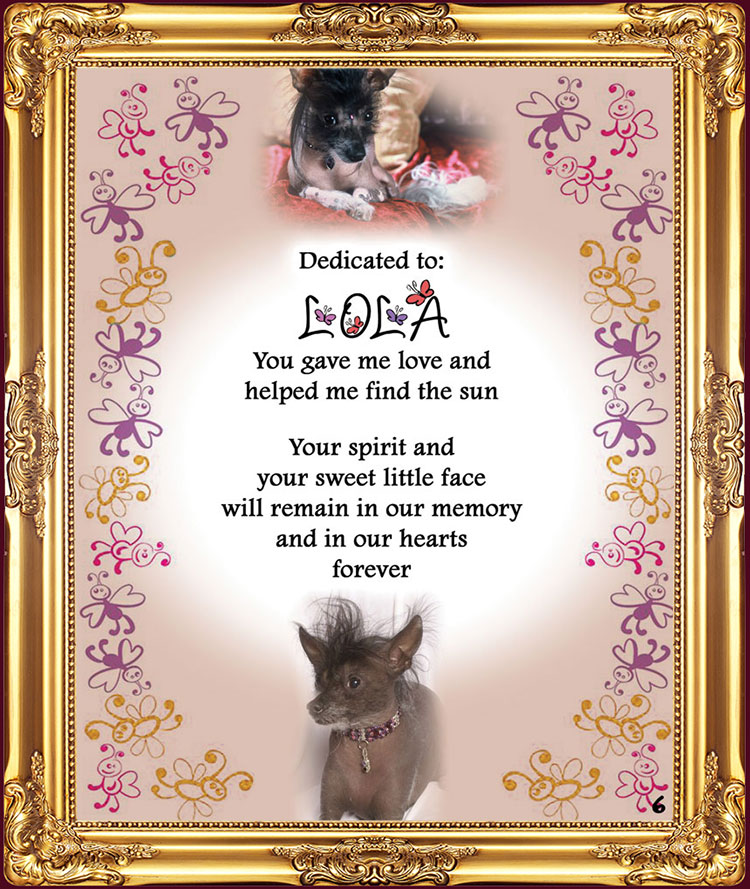 Lola's for Pets Dedication page